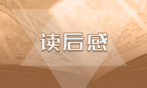 《美人魚》電影的優秀觀后感300字